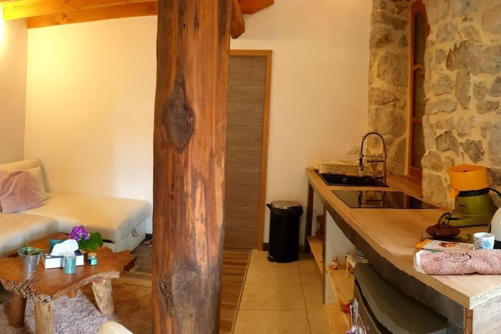 Apartamento L'Huile Et L'Eau Antraigues Exterior foto